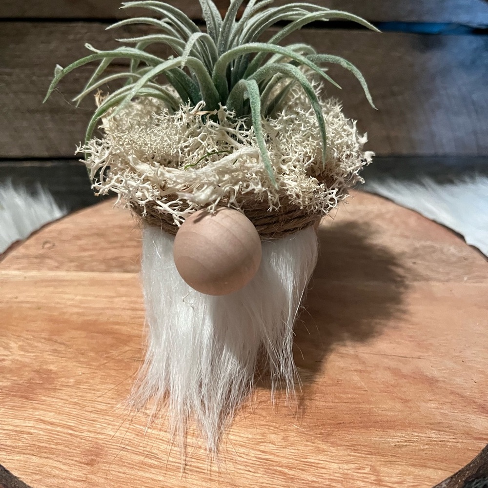 Rustic Gnome Air Plant Holder with White Accents